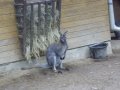 IMGP3649.JPG